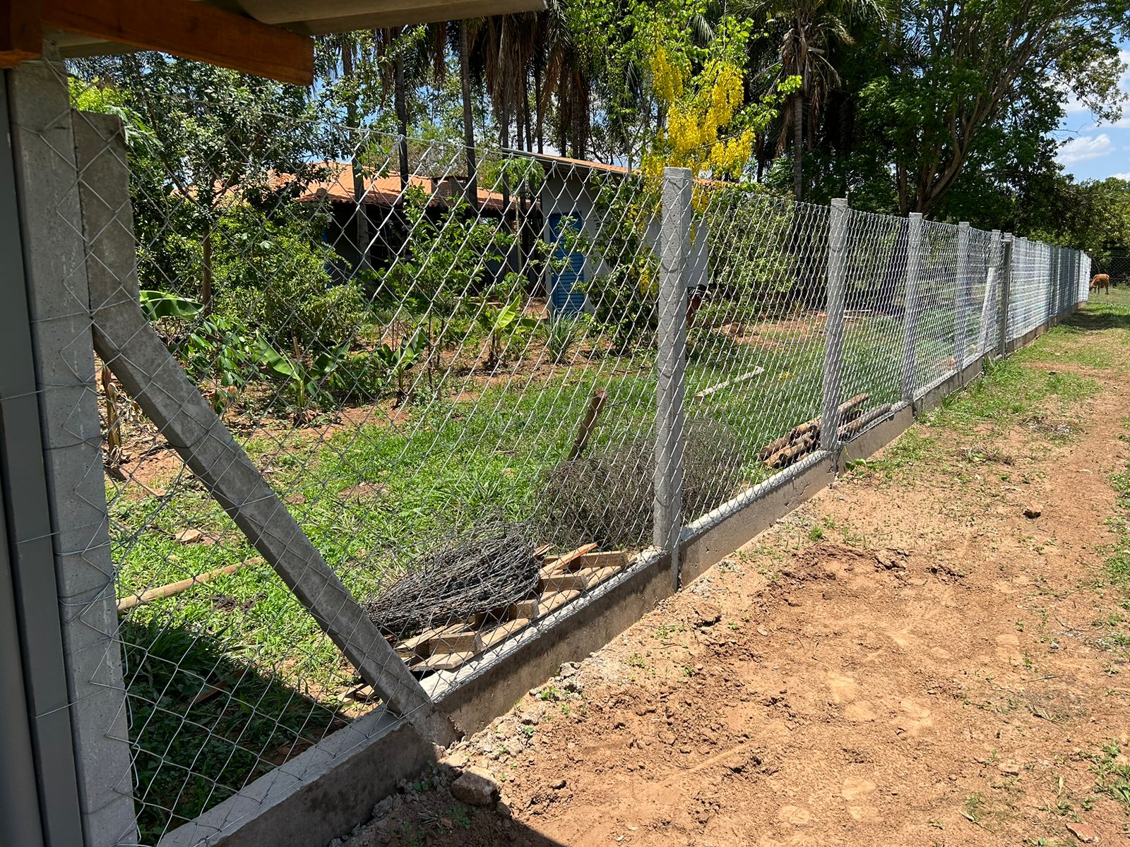 Alambrados em Cosmorama